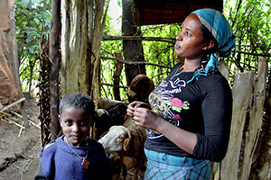 Mentamer and her son Abraham care for their sheep.