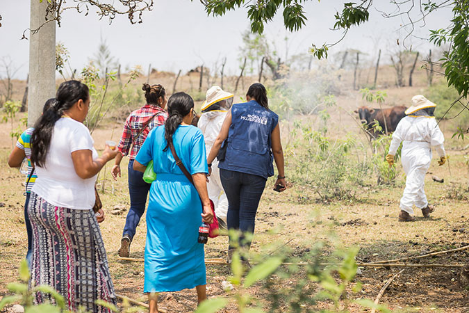 Women beekeepers involved in the “Broadening Economic Opportunities for Rural Women Entrepreneurs in Latin America” programme take María José Schaeffer to their hives for a demonstration of honey extraction. Jalapa, Guatemala (2016). Photo: UN Women/Alejandro De León.