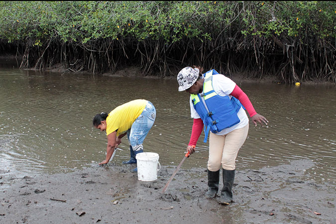 Women in the process of collecting shells. Photo: UN Women