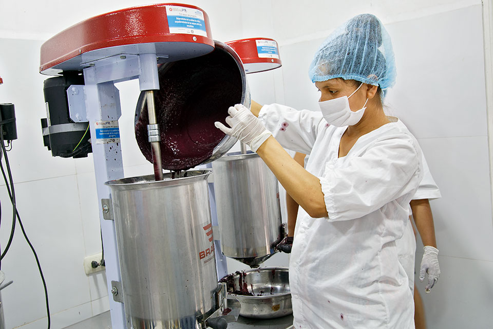 Una escena de las instalaciones de procesamiento del proyecto en Buen Retiro. El proyecto ha proporcionado tecnología y activos para mejorar la producción de 10 empresas dirigidas por mujeres en cuatro municipios. Foto: ONU Mujeres/Teófila Guarachi.