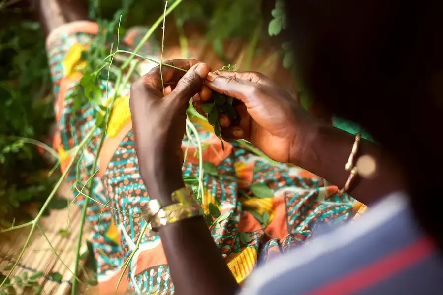 The road to a sustainable tomorrow: Tracking a COVID-19 gender-sensitive and green recovery