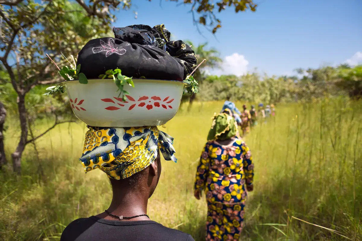 Des femmes des régions rurales en Guinée pratiquent une agriculture durable. Photo : ONU Femmes/Joe Saade