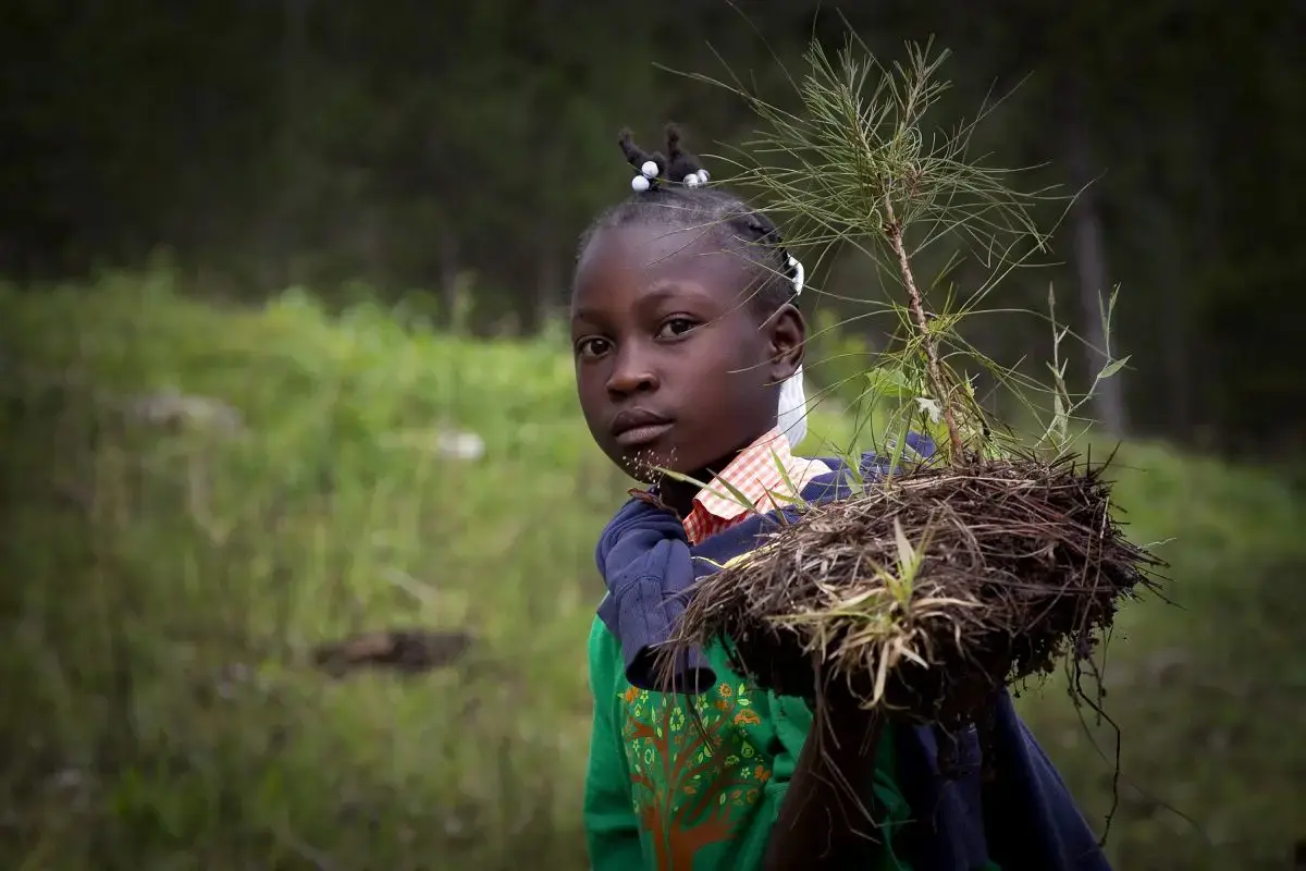 A young girl carries a small pine tree sapling