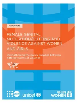 Female genital mutilation/cutting and violence against women and girls: Strengthening the policy linkages between different forms of violence
