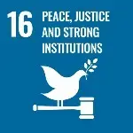 SDG 16 icon