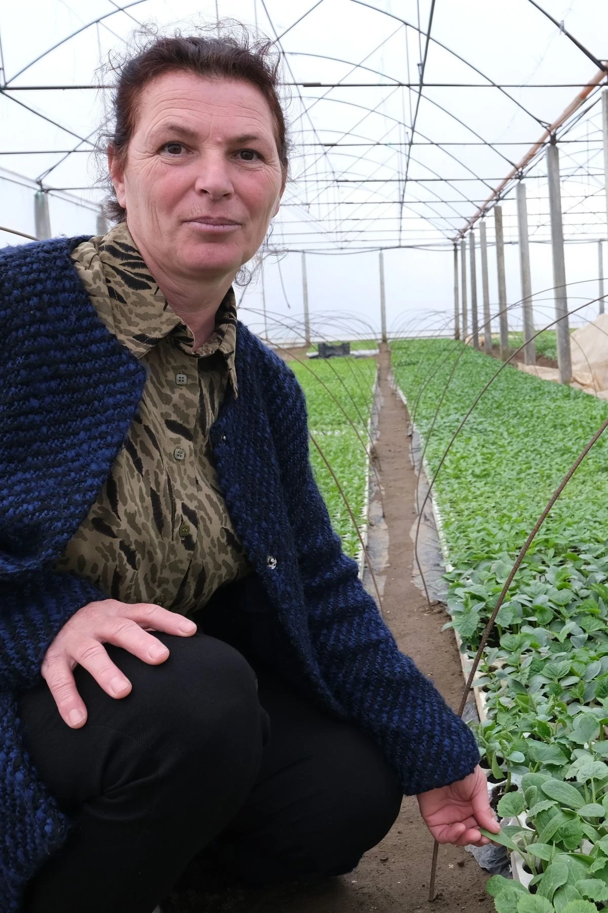 A woman kneels down to check her crops